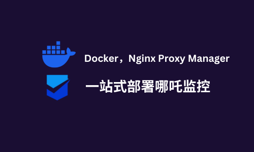 Docker，Nginx Proxy Manager 一站式部署哪吒监控